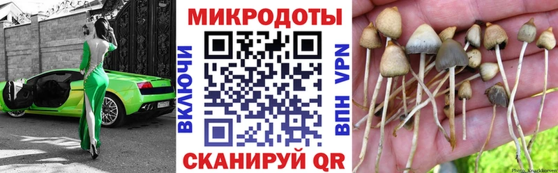 Псилоцибиновые грибы Psilocybine cubensis  Кирсанов 